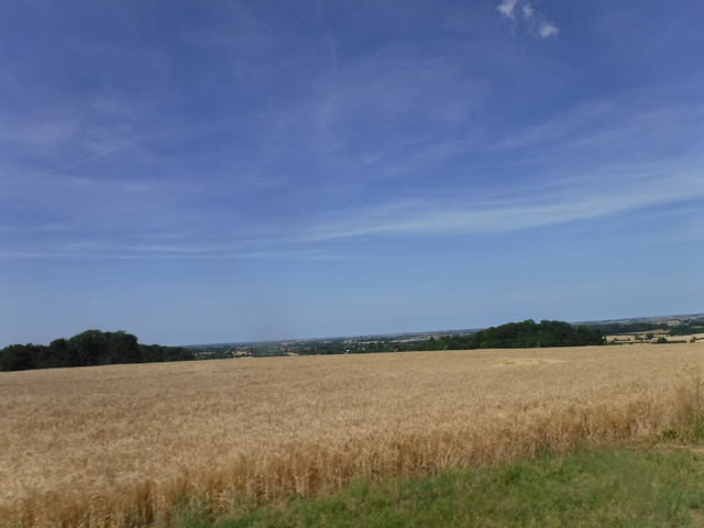 DSCF6178.jpg