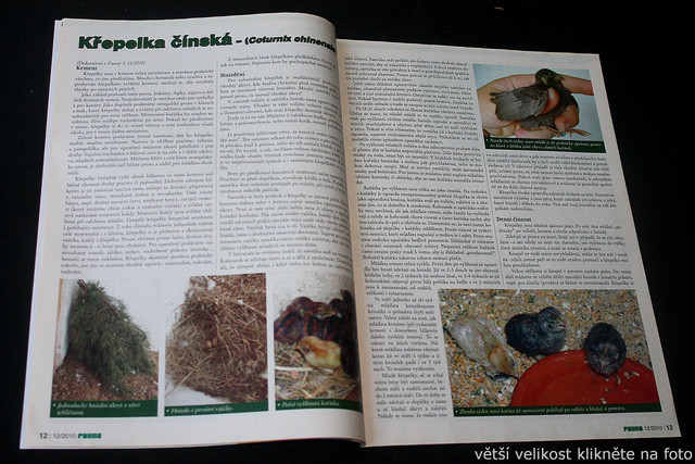 IMG-7759.jpg