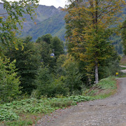 DSC-6967
