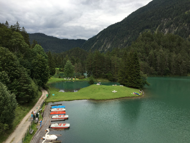 IMG-1156