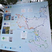 IMG-2299