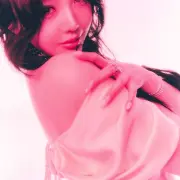 joy red velvet 1333274