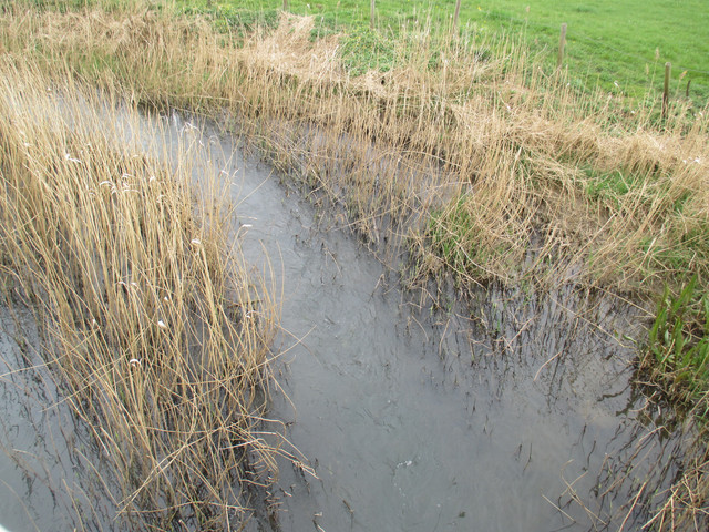IMG-4080.jpg