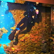 IMG-20161006-143308