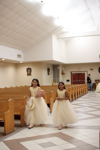 IMG-8119.jpg