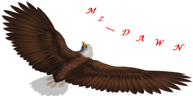 DAWNS EAGLE.png