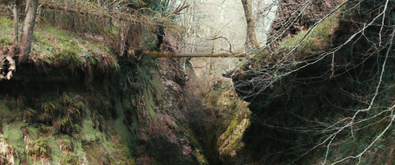 Mercy Falls Screenshot