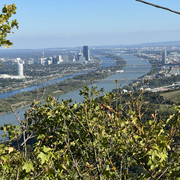 IMG-1954