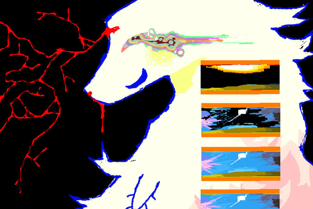 IMG-7768.jpg