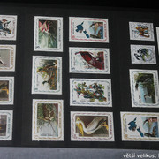 IMG-2241
