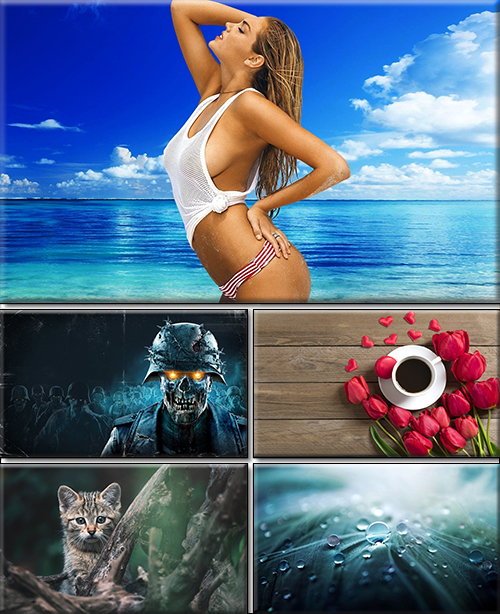 Computer Desktop Wallpapers Collection. Part 3801
