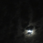 Pmoon-024
