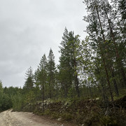 IMG 4998