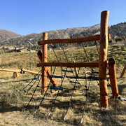 IMG 6267