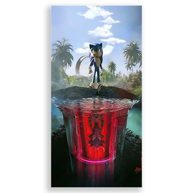 31001569-Sonic