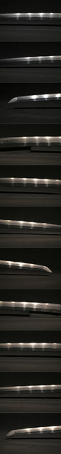 DSC3108.jpg