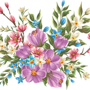 72eccc41bb4a9f4f2121602ea4f0016d
