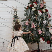 IMG 4071