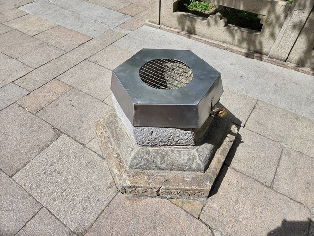 100.jpg
