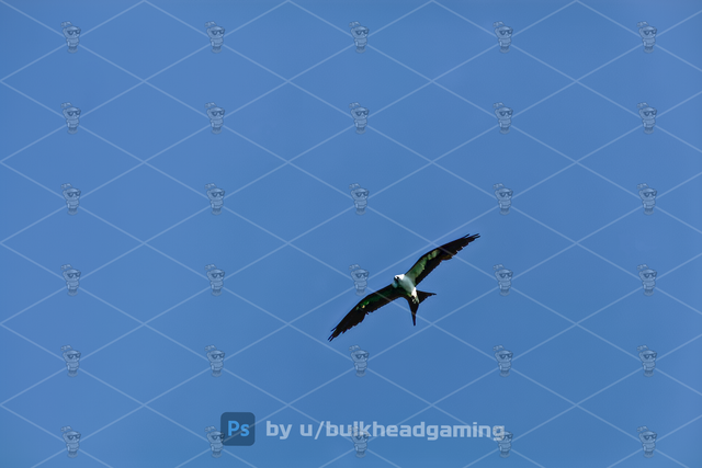 2-2.png