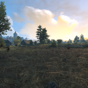 screenshot-231341