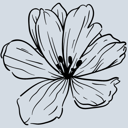 bcdb63c6f9e44a8bf8b53622fd54fae9.png