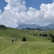 IMG 2741
