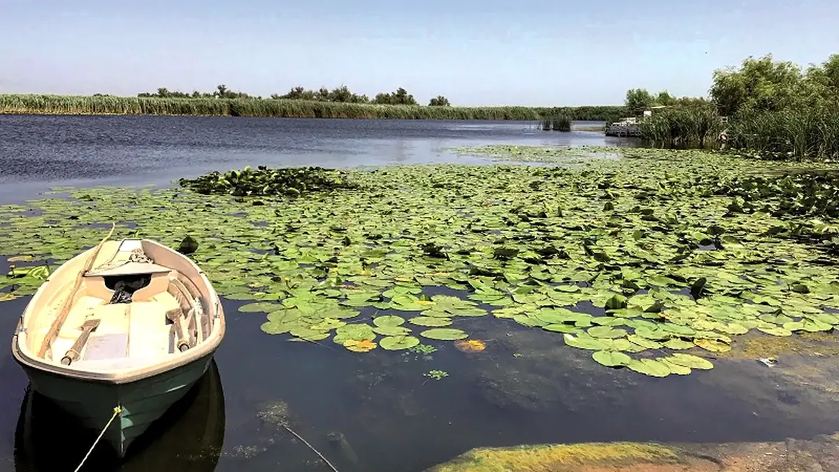 Războiul din Ucraina afectează turismul în Delta Dunării