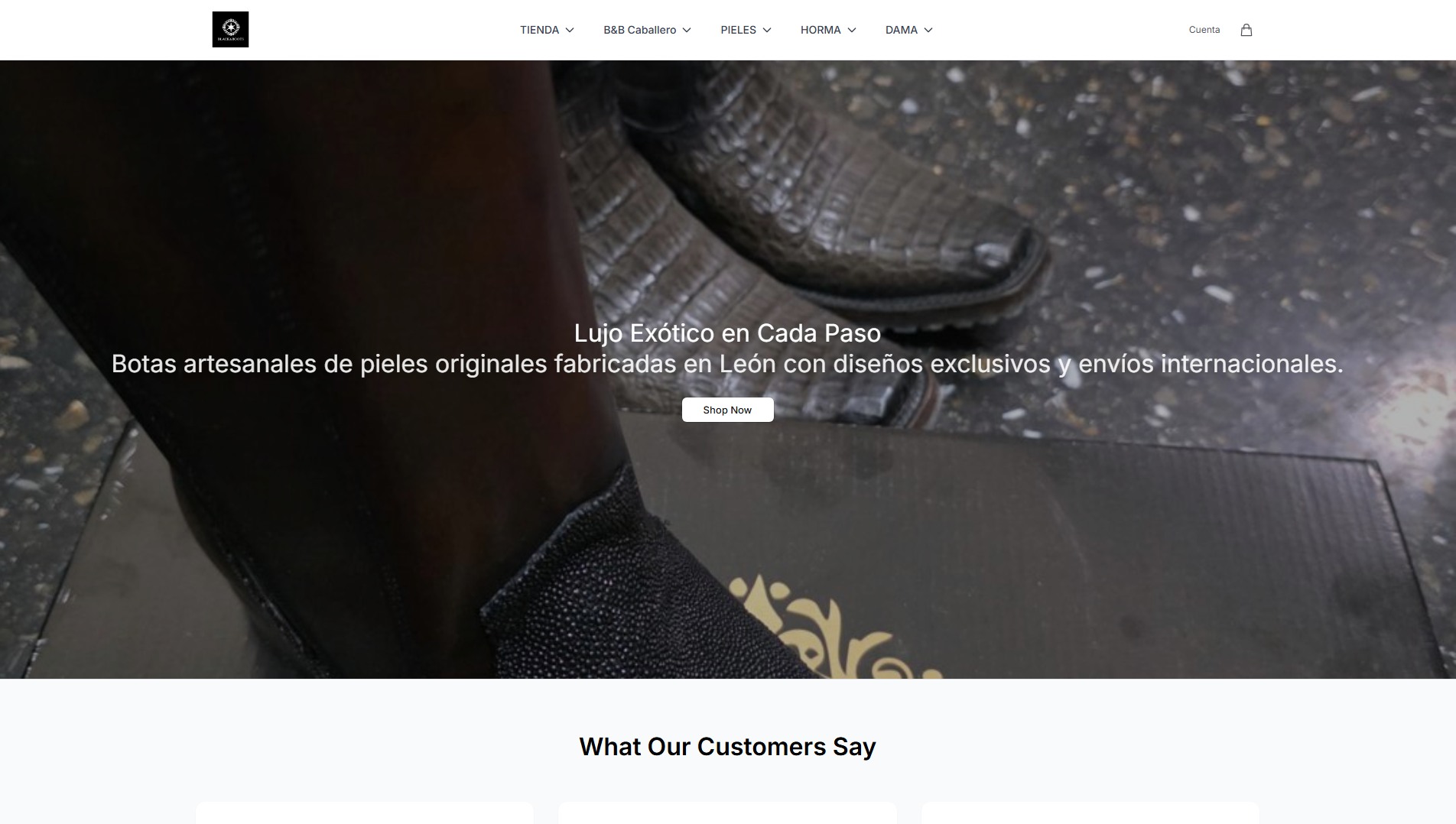 Stored capture of blackbootsco.shop