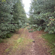 IMG 5095