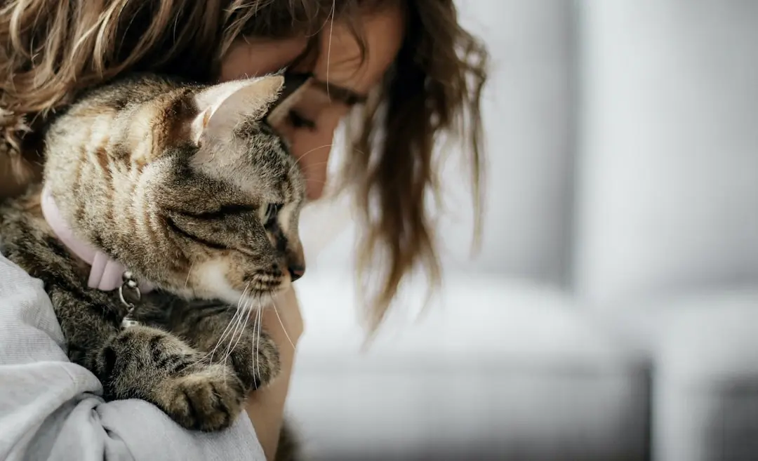 Woman Rescues 26-Year-Old Cat from Local Shelter