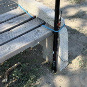 IMG 8180