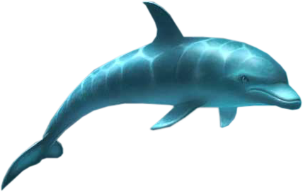 Element21.png
