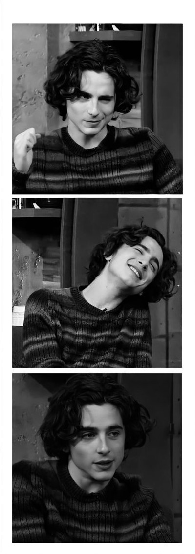 bookmark with timothée chalamet.jpg