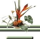 0-a306b-4ccb0df5-M