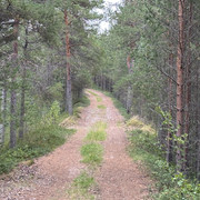 IMG 5736