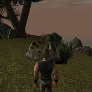 Walkthrough 46