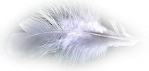 h l7c082kw.png
