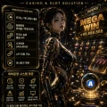 casinosolution vip service