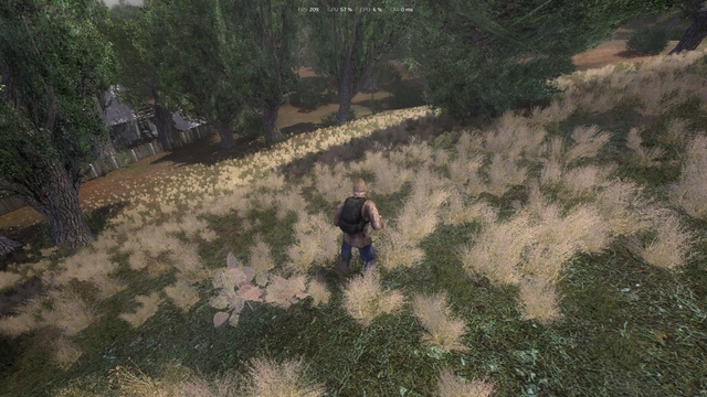 grass2