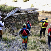 IMG-5917