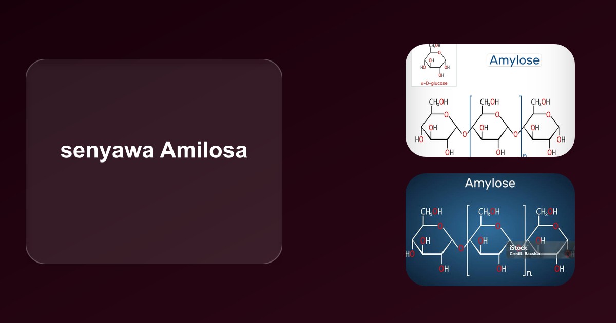 Amilosa: Respon Fisiologis Tubuh dan Mekanisme Khelasi Ion Logam