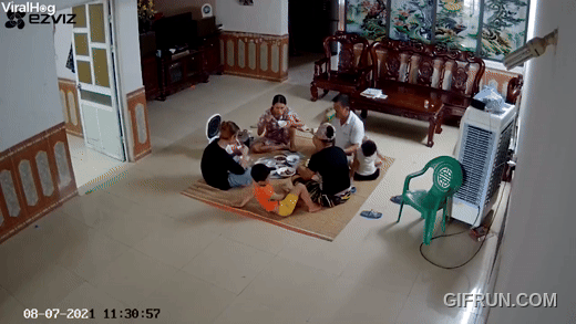 https://i.ibb.co/M09vMh0/Viral-Video-Ceiling-Fan-Falls-In-Middle-Of-Family-Dinner.gif