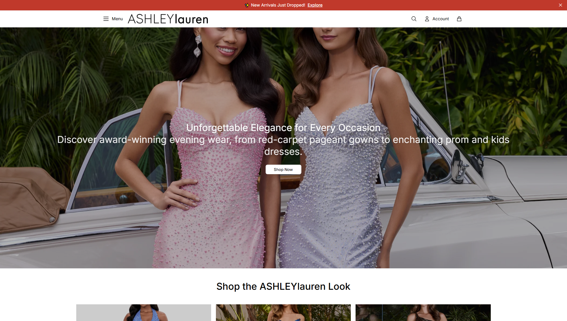 Stored capture of ashleylaurenstore.shop
