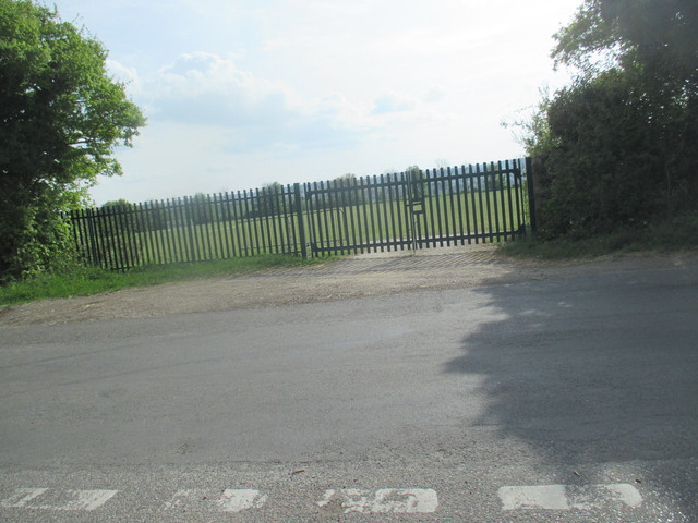 IMG-4371.jpg