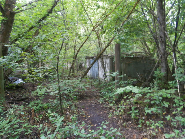 OLYMPUS-DIGITAL-CAMERA.jpg