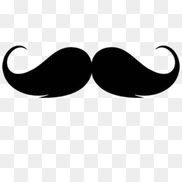 stache3.jpg