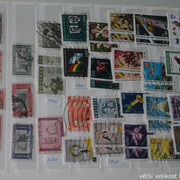 IMG-3228