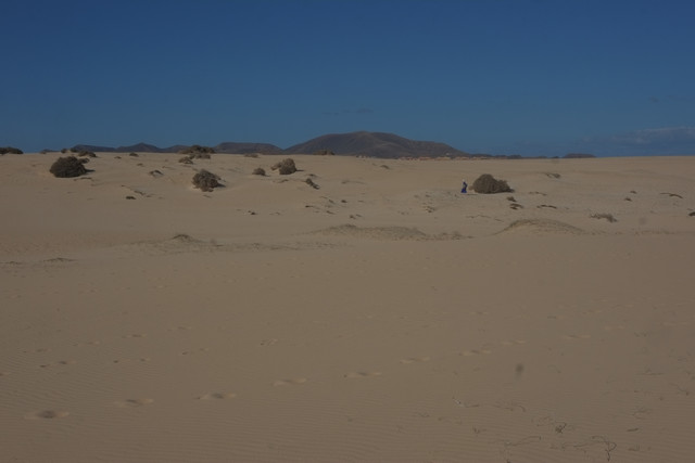 DSCF8570.jpg