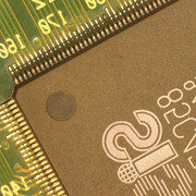 P00006
